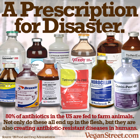 "A prescription for disaster: 80% of antibiotics in the US are fed to farm animals." by VeganStreet.com