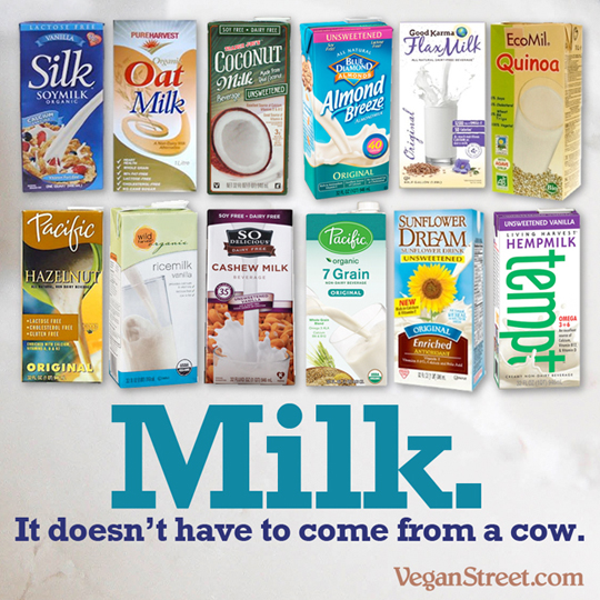 "Milk. It doesn't have to come from a cow." by VeganStreet.com