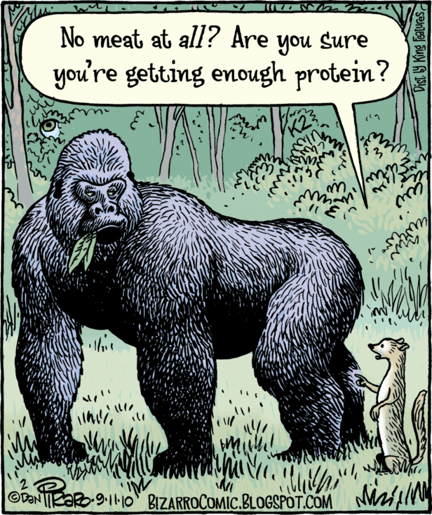 "No meat at all? Are you sure you're getting enough protein?" by Bizarro