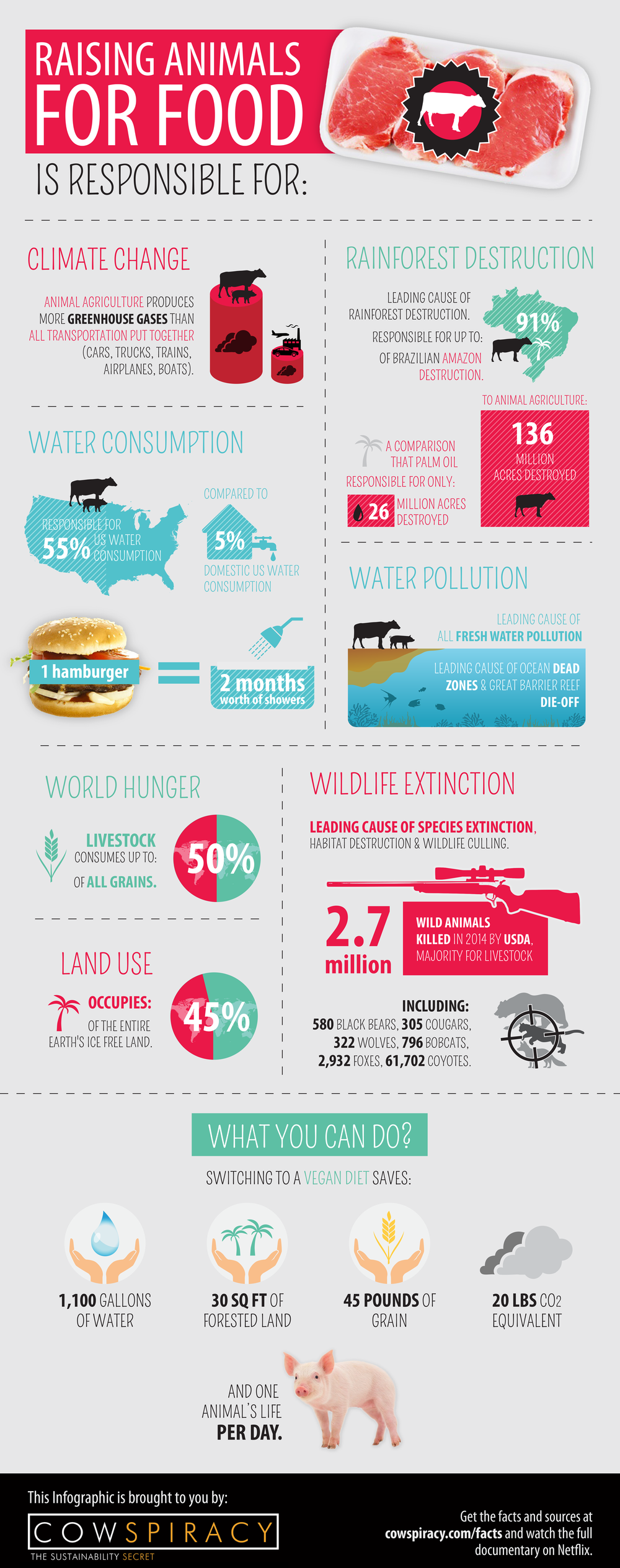 Cowspiracy infographic for Earth Day