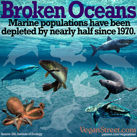 "Broken Oceans: Marine populations have been depleted by nearly half since 1970." by VeganStreet.com