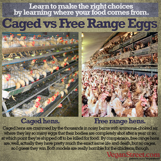 "Caged versus Free Range eggs" by VeganStreet.com