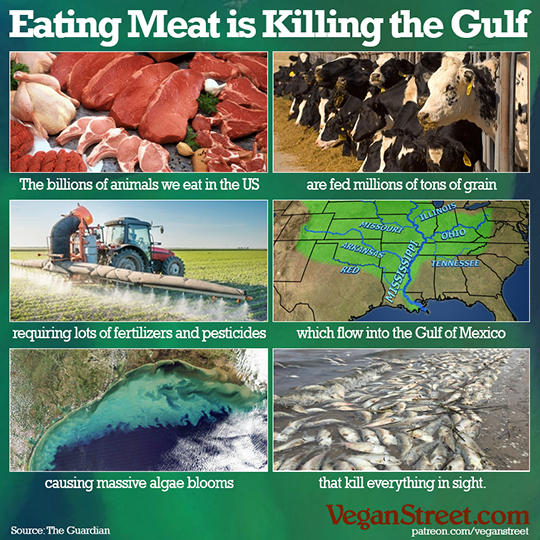"Eating meat is killing the Gulf" by VeganStreet.com
