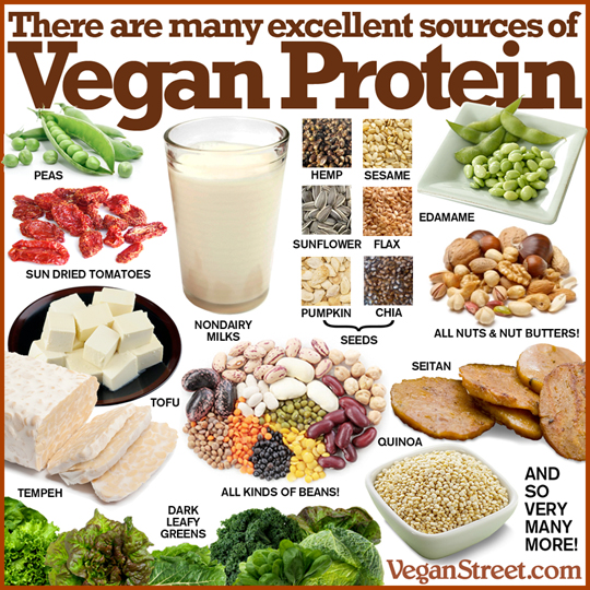 "There are many excellent sources of Vegan protein" by VeganStreet.com