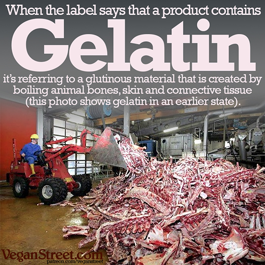 "When the label says that a product contains Gelatin..." by VeganStreet.com