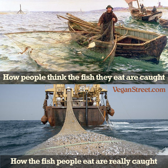 "How fish are caught: imagination vs reality." by VeganStreet.com