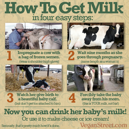 "How to get milk in four easy steps" by VeganStreet.com