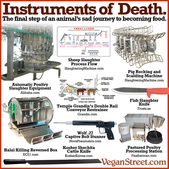 "Instruments of Death: The final step of an animal's sad journey to becoming food." by VeganStreet.com