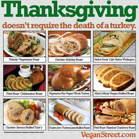 "Thanksgiving doesn't require the death of a turkey" by VeganStreet.com