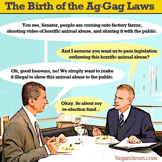 "The Birth of the Ag-Gag Laws" by VeganStreet.com
