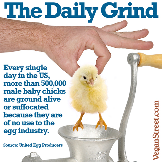 "The Daily Grind" by VeganStreet.com
