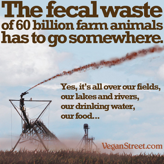 "The fecal waste of 60 billion farm animals has to go somewhere." by VeganStreet.com