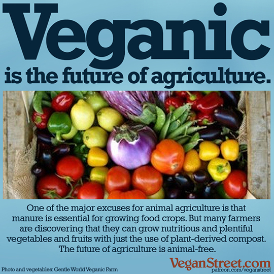 "Veganic (stock-free farming) is the future of agriculture" by VeganStreet.com
