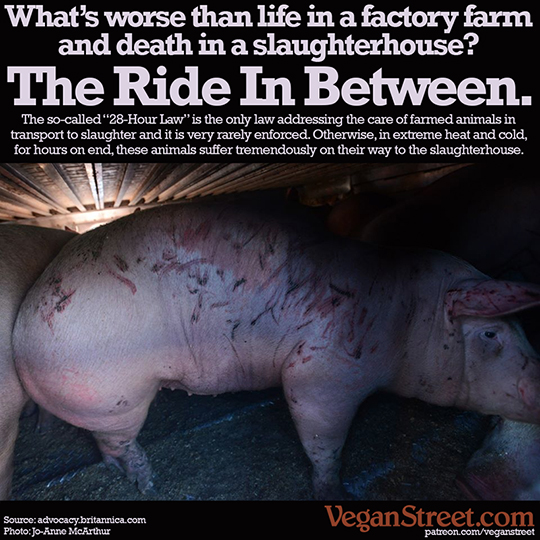 "The ride in between life and death." by VeganStreet.com