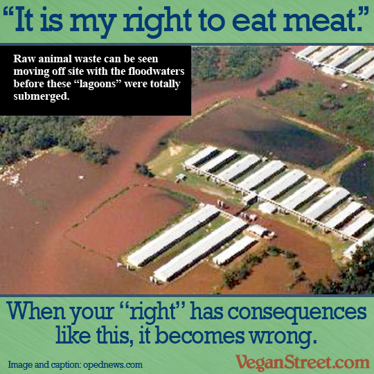 "Raw animal waste 'lagoons' pollute floodwaters." by VeganStreet.com