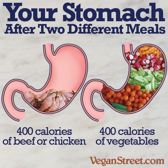 "Your stomach after two different meals." by VeganStreet.com